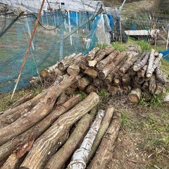 岡山県産　クヌギ　コナラ　サクラなど ミックス　薪ストーブ キャンプ 広葉樹　軽トラ一杯　乾燥の画像