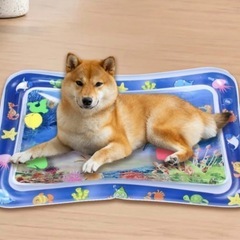 ペットウォータープレイマット