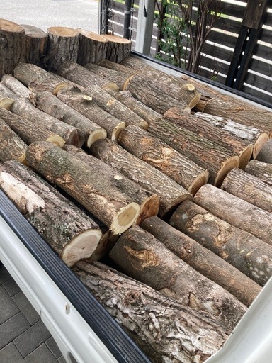 薪用　広葉樹玉切材①(配達可)