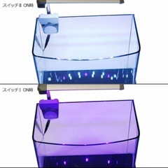 アクシーファインミニLED  アクアリウム 熱帯魚 パルダリウム 苔 多肉 イモリウム LED AXY FINE Mini LEDの画像