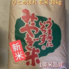 令和6年新米ひとめぼれ玄米30kg