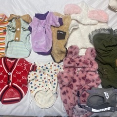 【未使用】ペット　犬服・ハーネス10点セット