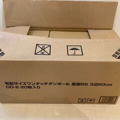 ダンボール 20枚セット 無地 B5 3辺60cm OD-2 「...