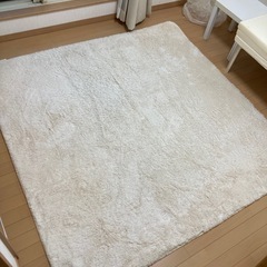 カーペット