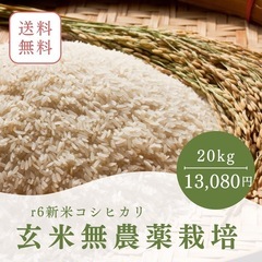 兵庫県三田産　コシヒカリ　令和6年度　新米