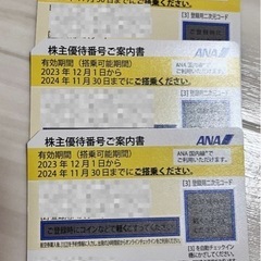 ANA株主優待券【2024/11/30まで】