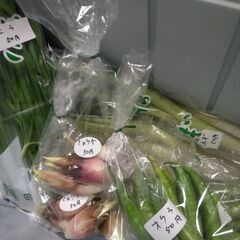 新鮮野菜コーナー10月12日の品出し予定です。