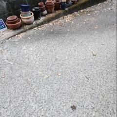 陶器、植木鉢など無料で差し上げます！！