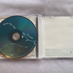 安田レイ　Brand New　Dayの画像