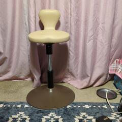 美フォームスクワット健康器具