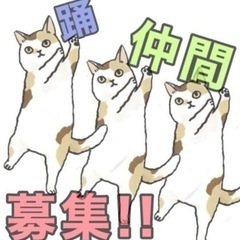 ダンス仲間募集 土浦〜取手〜柏・他