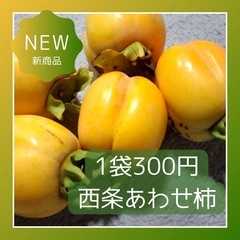 10/12 土曜朝市