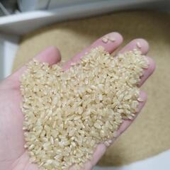 令和6年度福島県産ひとめぼれ新米30キロ玄米、1等米、農家直送、直接引き取りの画像
