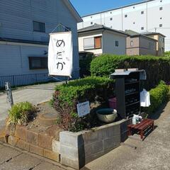 10/12めだか販売