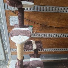 キャットタワー