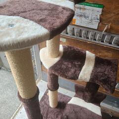 キャットタワーの画像