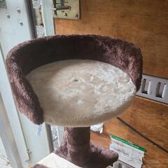 キャットタワーの画像