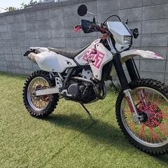 ＤＲ−Ｚ４００Ｓ 車検あり　走行6万　FMFマフラー