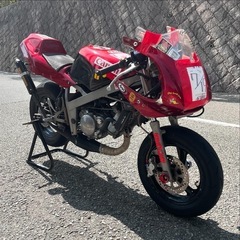 YAMAHA tzm50rの画像