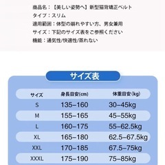 2枚セット　　　猫背強制ベルトの画像