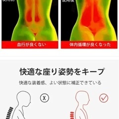 2枚セット　　　猫背強制ベルトの画像