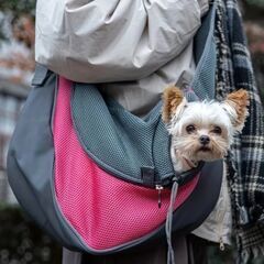 新品）犬猫用ペットキャリーバッグ、L. 赤、