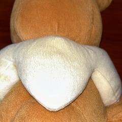 【決定】イーブイ・マイクラ・マリオの画像