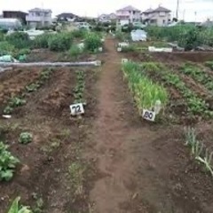 農園
