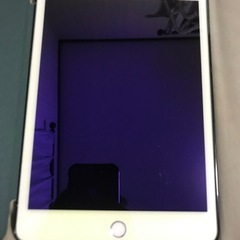 Apple iPad mini (第５世代) 