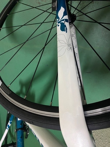 レア！可愛い！TREK LEXA SL レディースモデルお得なセット品 2X10S