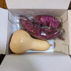 無農薬野菜