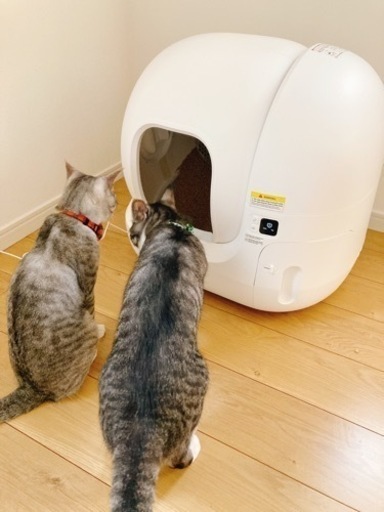【新品】早い者勝ち！猫自動トイレPETKIT