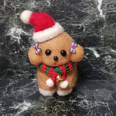 まだ早いけどクリスマス帽子被ったワンちゃん