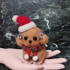 まだ早いけどクリスマス帽子被ったワンちゃんの画像