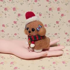 まだ早いけどクリスマス帽子被ったワンちゃんの画像