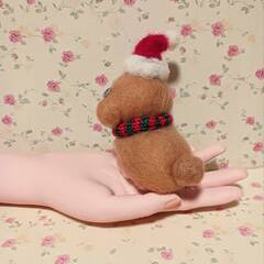 まだ早いけどクリスマス帽子被ったワンちゃんの画像