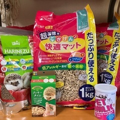 【お値下げしました】ハリネズミちゃんの用品になります