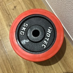 iROTEC ダンベル  プレート5kg×4  の画像