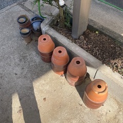 植木鉢受付終了しました
の画像