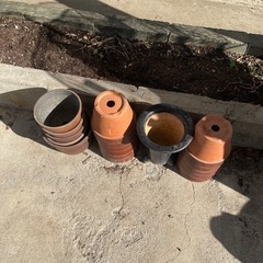 植木鉢受付終了しました
の画像