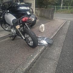 《早い者勝ち》キットバイクモンキータイプ ロングフレーム&ロンスイ仕様      要整備の画像