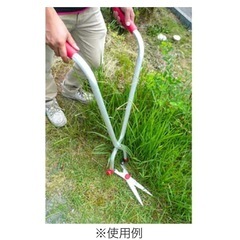 草刈り 立ったまま 鎌 ハサミ 草刈り道具の画像