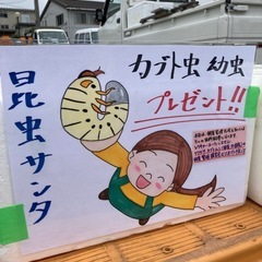 昆虫サンタからわいわい市藤沢店でのメダカすくいイベントのご案内❗️