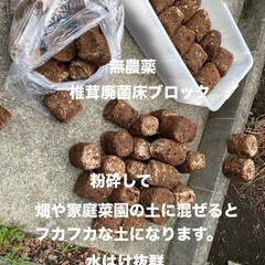 カブトムシの幼虫の餌に　シイタケ廃菌床ブロック