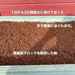 カブトムシの幼虫の餌に　シイタケ廃菌床ブロックの画像