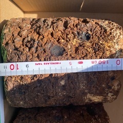 カブトムシの幼虫の餌に　シイタケ廃菌床ブロックの画像