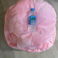 亀のかぶりものの画像