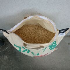 🌾新米 ひのひかり 籾(モミ)30kg （2024年／令和6年産