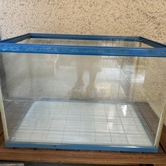 決定）45㎝古い水槽