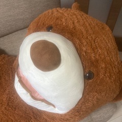 【超大型】熊のぬいぐるみ